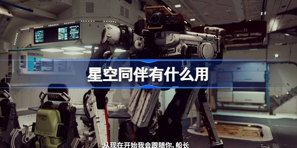 星空同伴的价值与意义