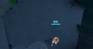 晶核鲁米村卡牌位置全攻略