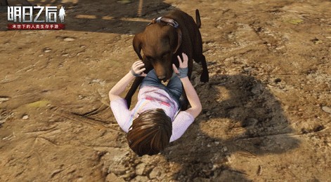 明日之后云养狗全攻略：互动系统升级详解与实用技巧