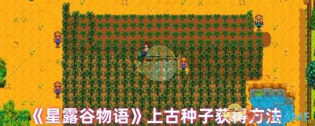 星露谷物语上古种子获取全攻略：从野外到生产器，多种途径助你收集