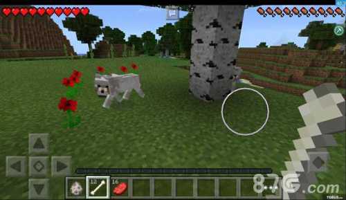 我的世界狼的踪迹与寻找策略