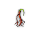 我的侠客人参获取全攻略：购买地点与自寻方法详解