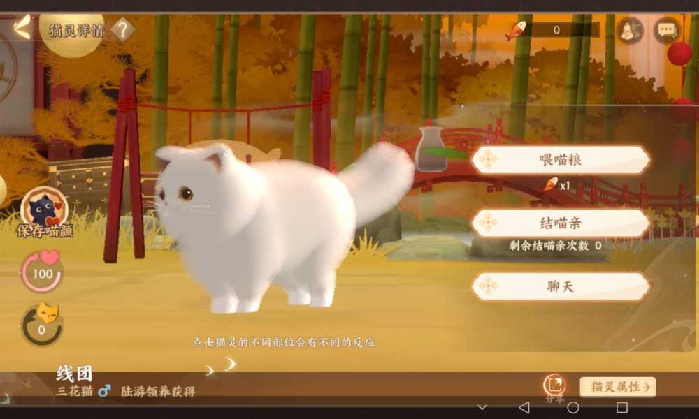 忘川风华录猫外观捏脸码数量有多少