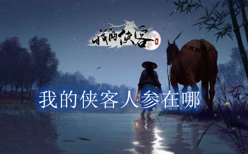 我的侠客人参获取全攻略：购买地点与自寻方法详解