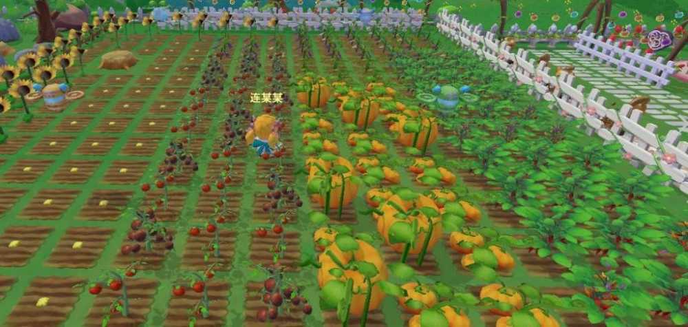 摩尔庄园太空种子变异全攻略：提升概率、获取方法及实用价值