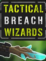 战术突破巫师汉化补丁下载全攻略