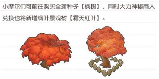 摩尔庄园枫叶种子购买地点指南