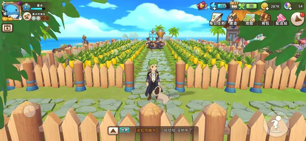 悠长假期向日葵的种植乐趣与实用价值