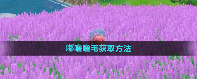 摩尔庄园嘟噜噜毛如何获取