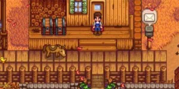 星露谷物语点不开包裹的解决方法与常见原因分析