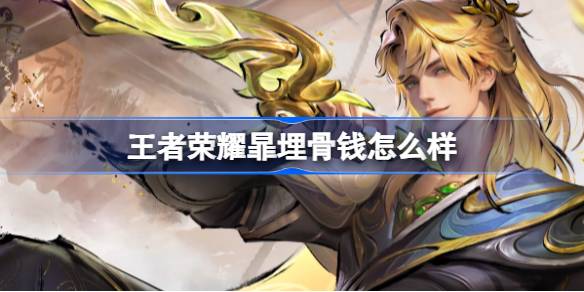 暃埋骨钱皮肤深度解析：价格、故事与玩法全面介绍