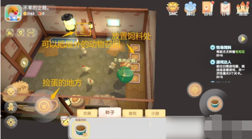 摩尔庄园手游鸡蛋获取攻略：从等级要求到定时收获