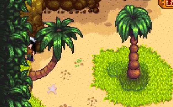 星露谷姜岛金核桃全攻略：130颗核桃分布与获取方法详解