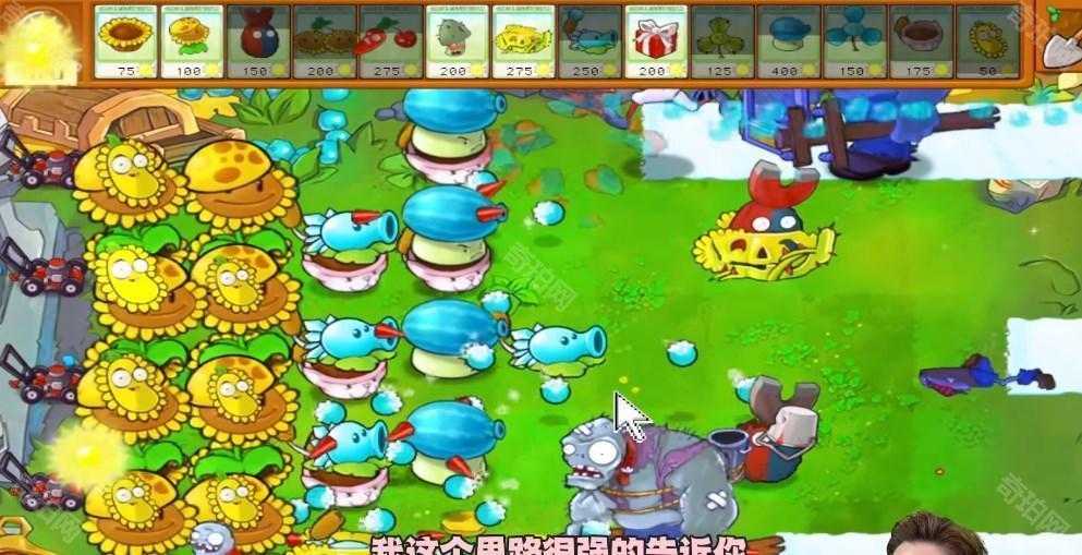 植物大战僵尸杂交版冒险模式第50关通关心得：有限空间下的策略与技巧
