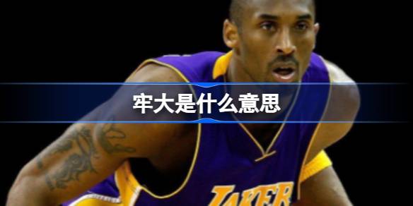 牢大是什么意思：科比外号的由来与启示