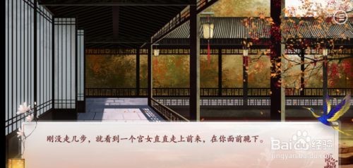 深宫曲鬼鸩一品红的获取、使用与风险全解析