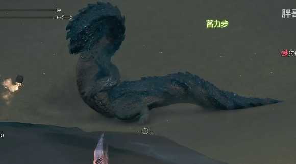 沙海龙的位置与战术攻略