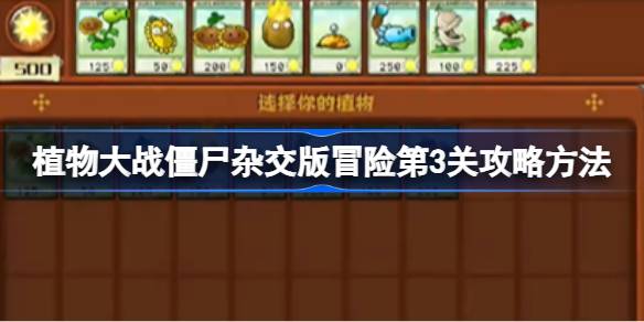 植物大战僵尸杂交版冒险第3关通关指南:植物搭配与布局策略