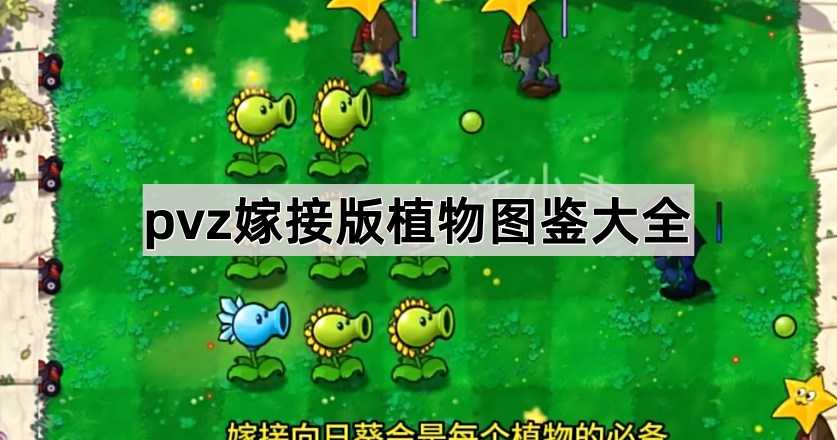植物大战僵尸嫁接版:探索无限嫁接组合与植物图鉴