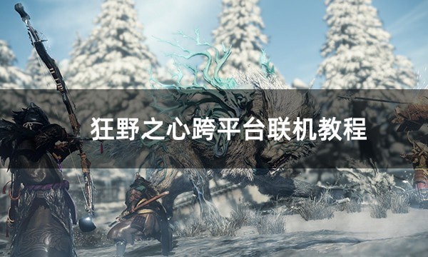狂野之心联机攻略：轻松实现跨平台好友同乐