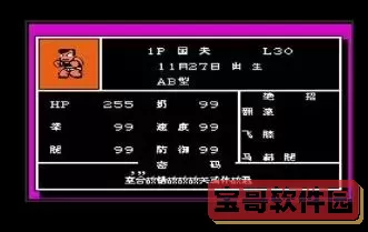 热血格斗中文选人技巧全解析