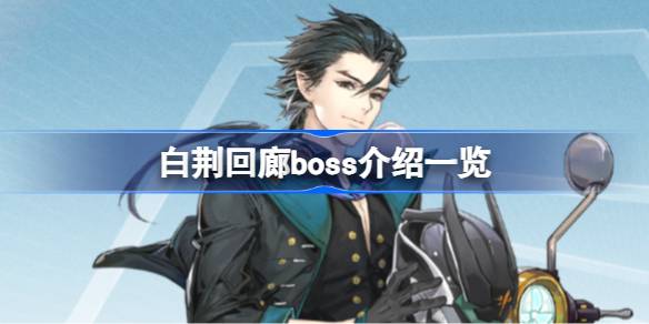 白荆回廊世界Boss难度解析：挑战与通关心得