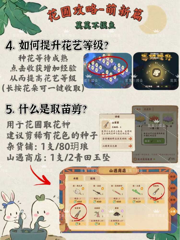 桃源深处有人家新手花圃种植全攻略