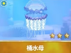 潜水员戴夫桶水母的藏身之处