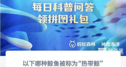 热带鲸的神秘生活：从习性到保护的全面解读