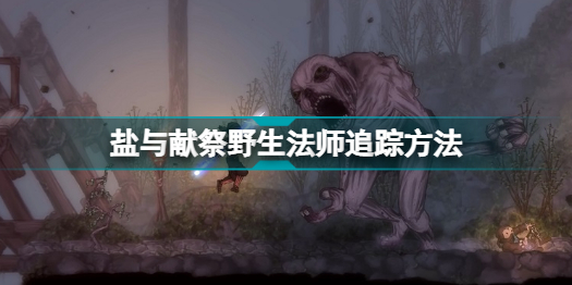 盐与献祭如何追踪野生法师