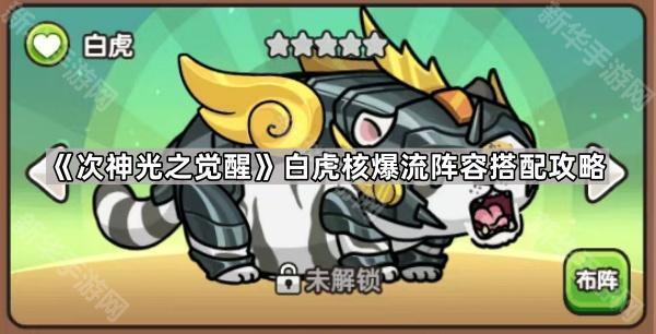 次神光之觉醒白虎核爆流配队攻略：详解阵容搭配与实战效果