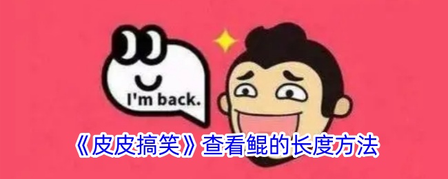 皮皮搞笑怎么看鲲的长度-查看鲲的长度方法