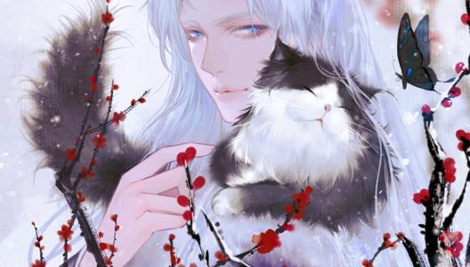 灵猫传金币快速获取指南