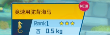 潜水员戴夫抓海马工具获取全攻略