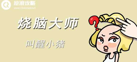 烧脑大师第二十三关：叫醒小猪通关攻略与心得