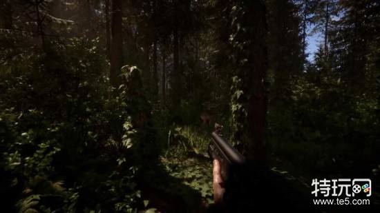 森林之子控制台秘籍全解析:轻松通关与生存挑战的双重攻略