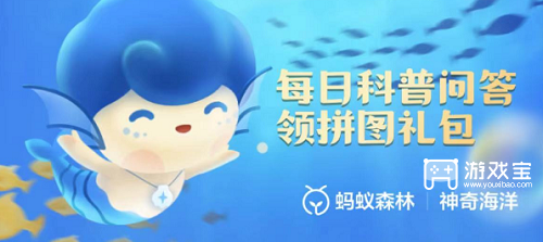 海洋奇闻：小丑鱼的雌雄同体与生存智慧