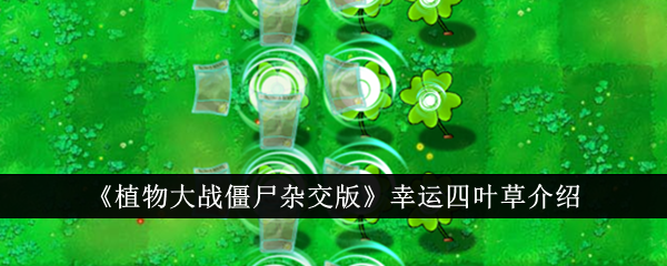 植物大战僵尸杂交版幸运四叶草怎么样-幸运四叶草介绍