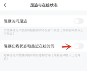 皮皮陪玩隐藏在线状态全攻略