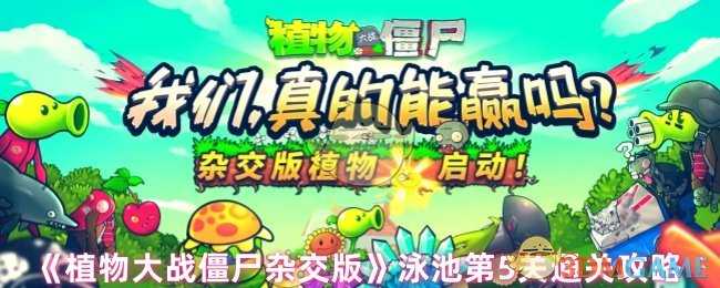 植物大战僵尸杂交版泳池第5关通关心得:输出要足,布局要稳