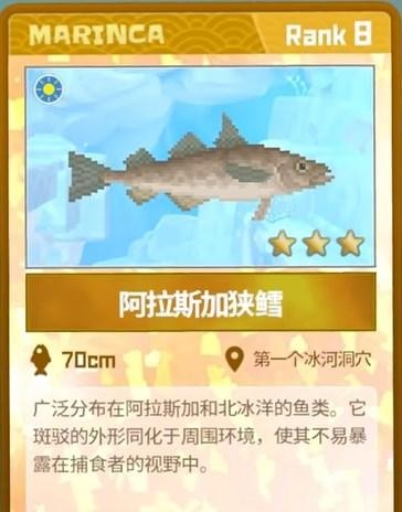潜水员戴夫阿拉斯加狭鳕抓捕全攻略