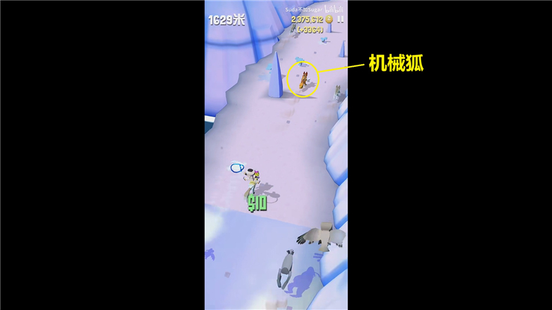 疯狂动物园极地特殊动物捕捉方法大揭秘