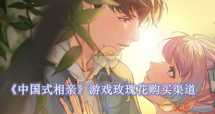 玫瑰花在中国式相亲游戏里的秘密：购买渠道与使用攻略
