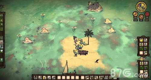 海难渡渡鸟驯养攻略