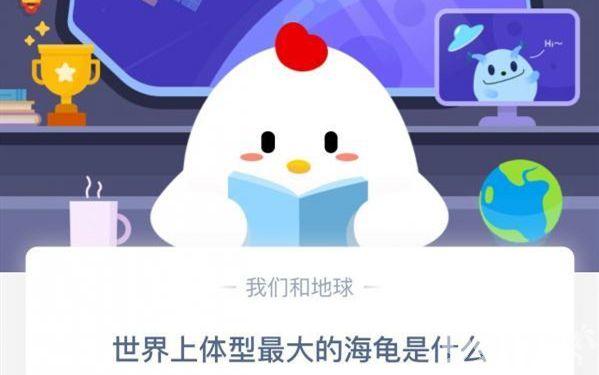 棱皮龟:揭秘世界上体型最大的海龟