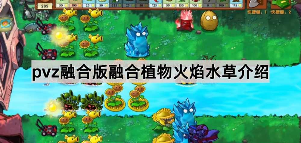 植物大战僵尸融合版火焰水草深度解析:玩法特点与实战表现