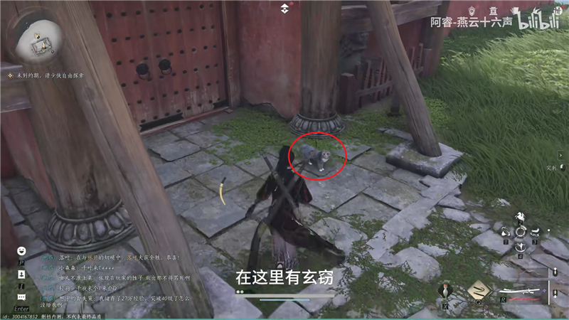 燕云十六声里的猫猫大发现
