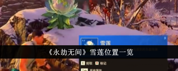 永劫无间雪莲位置详解：火罗国地图位置与使用技巧