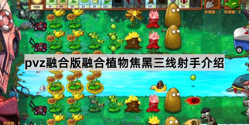 焦黑三线射手深度解析：火爆辣椒与三线射手的奇妙结合
