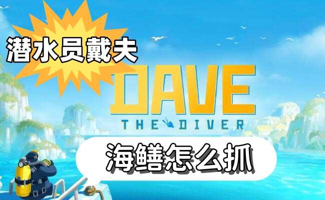 潜水员戴夫海鳝怎么抓
